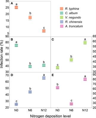 Arbuscular mycorrhizal fungi inoculation exerts weak effects on species- and community-level growth traits for invading or native plants under nitrogen deposition